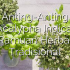 Permalink ke Anting-Anting (Acalypha Indica): Ramuan Herbal Tradisional