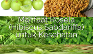 Permalink ke Manfaat Rosela (Hibiscus Sabdariffa) untuk Kesehatan