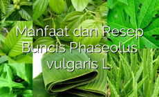 Permalink ke Manfaat dan Resep Buncis Phaseolus vulgaris L.